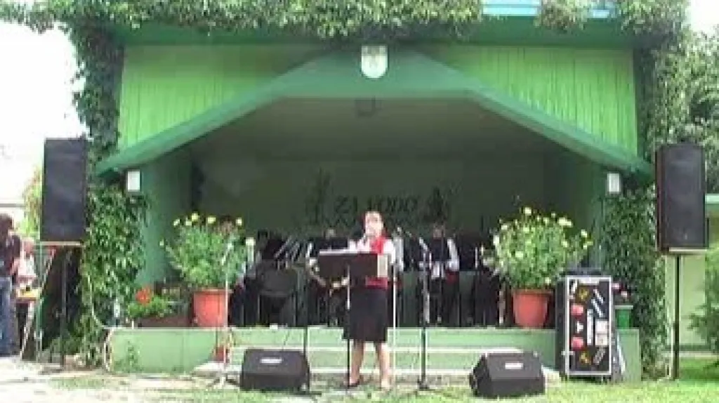 Festival malých hudebních souborů