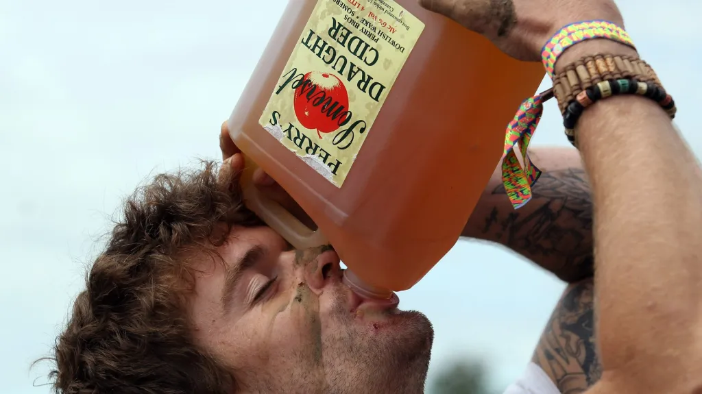Cider