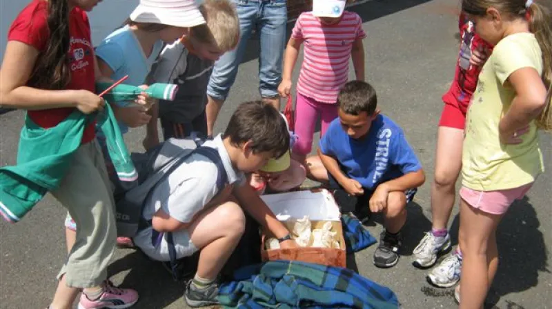 Aktivity příměstského tábora