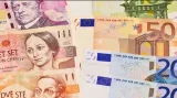 Ekonom Janíčko: Vstup do eurozóny není na pořadu dne