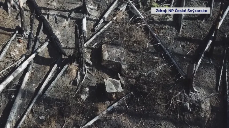 Následky požáru v Českém Švýcarsku