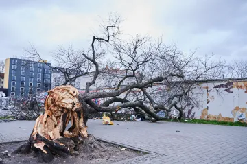 Nejméně tři lidé zemřeli v Německu při nehodách způsobených silnou bouří