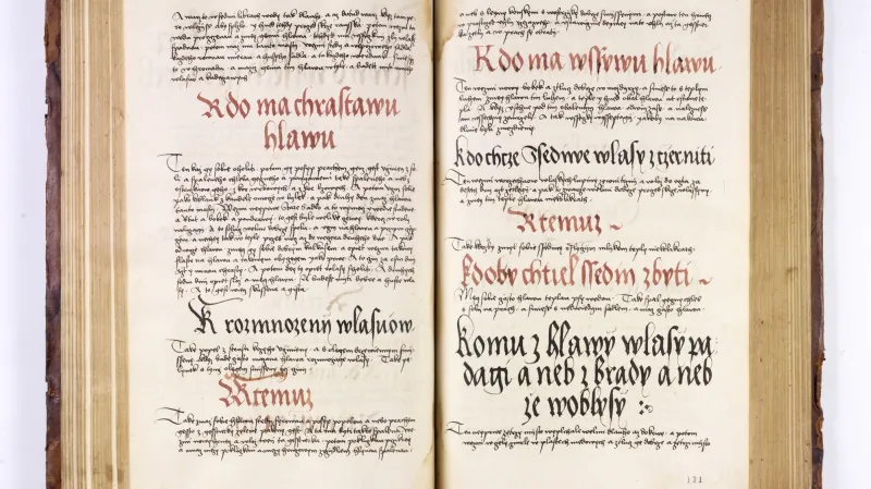 Rukopis z výstavy Navrácená švédská kořist