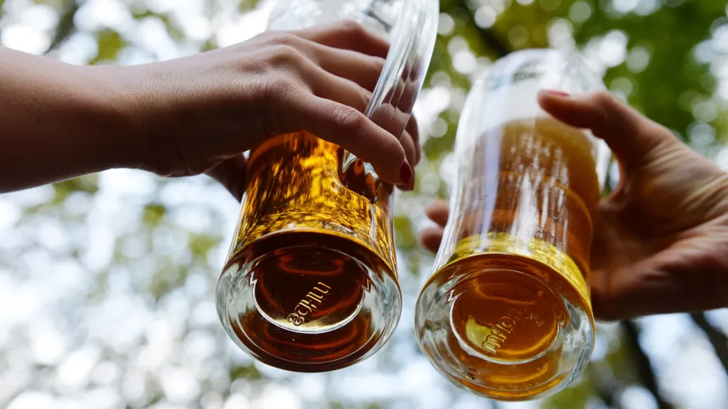 Pivo