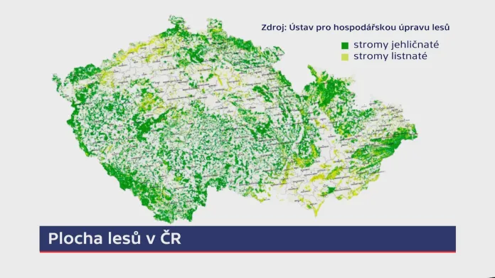 Plocha lesů v ČR