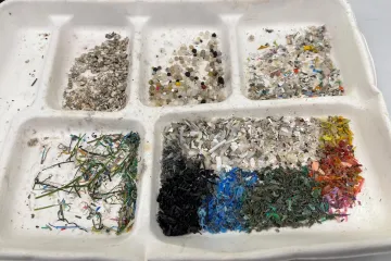 Skupina vědců zpochybňuje výzkumy o množství mikroplastů v lidském těle