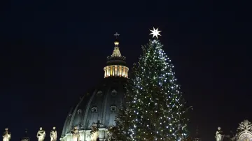 Vánoční strom ve Vatikánu