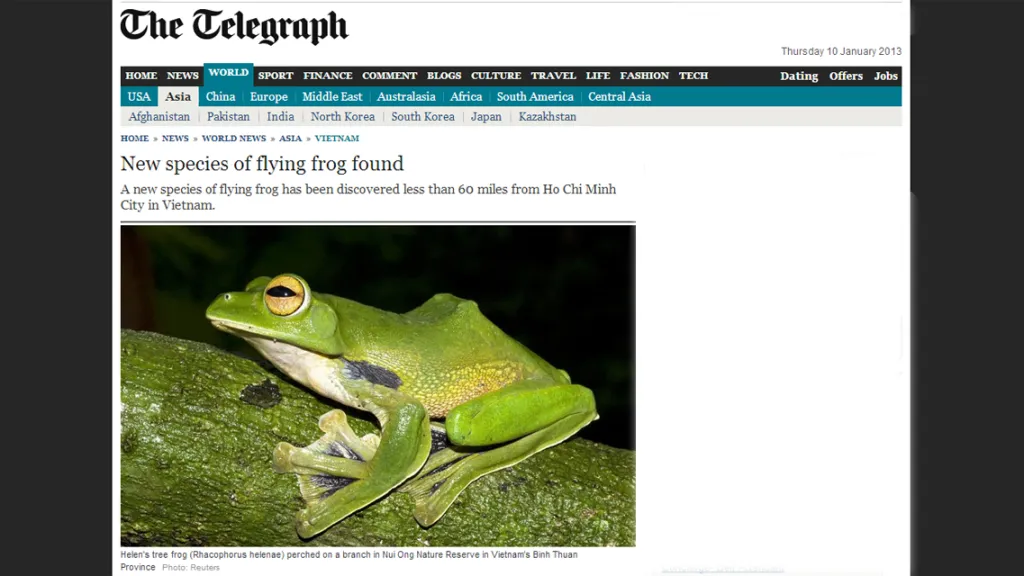 Helenina létavka (Rhacophorus helenae)