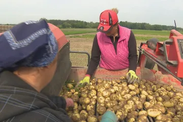Lidí bez práce bylo v červnu méně než předchozí měsíc, meziročně jich přibylo