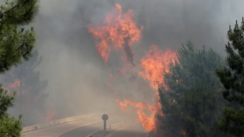 Lesní požár v Portugalsku