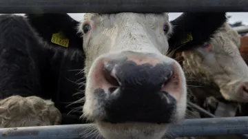 Ilustrační snímek