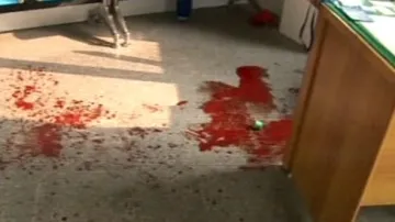 Vraždy v čínské školce