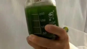 Biopalivo z řas