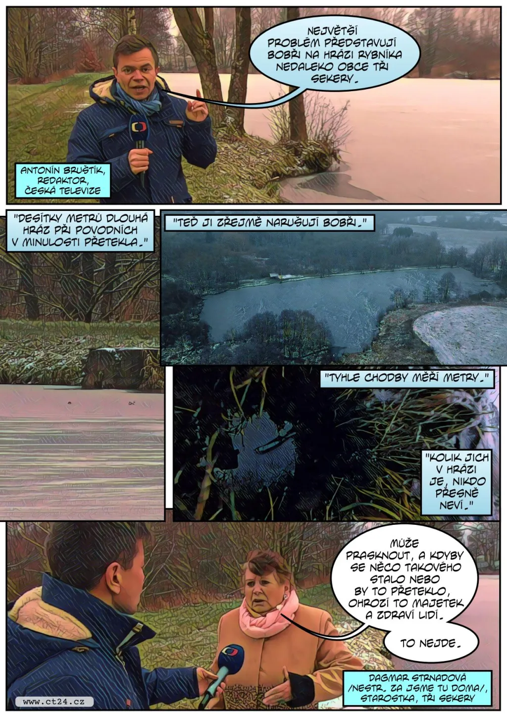 Přemnožení bobři působí velké škody. Správci rybníků se bojí o stav hrází