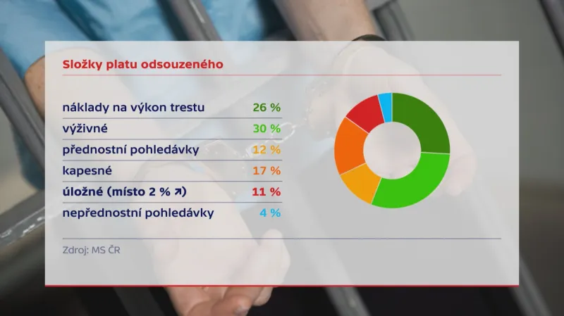 Struktura platů vězňů