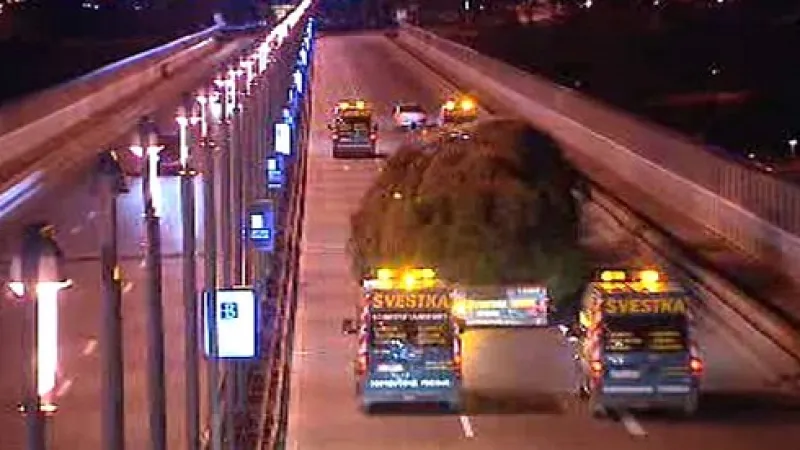 Cesta vánočního stromu