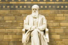Knihovna oznámila krádež cenných Darwinových deníků. Původně se myslelo, že byly špatně uloženy