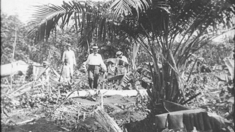 Divy veletoku Amazonky