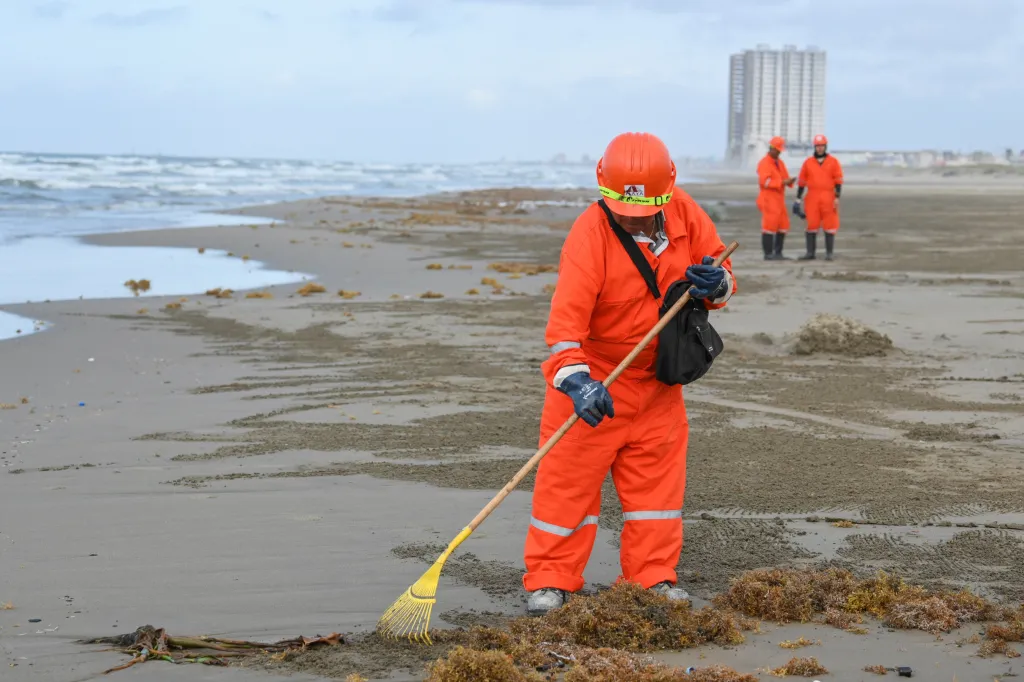 Kontaminace zasáhla 230 kilometrů pobřeží a 39 obcí ve státech Tabasco a Veracruz, uvádí Gulf of Mexico Reef Corridor Network, koalice rybářských, domorodých a environmentálních skupin