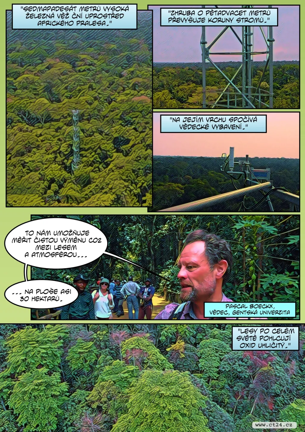 Věž v pralese zkoumá klima