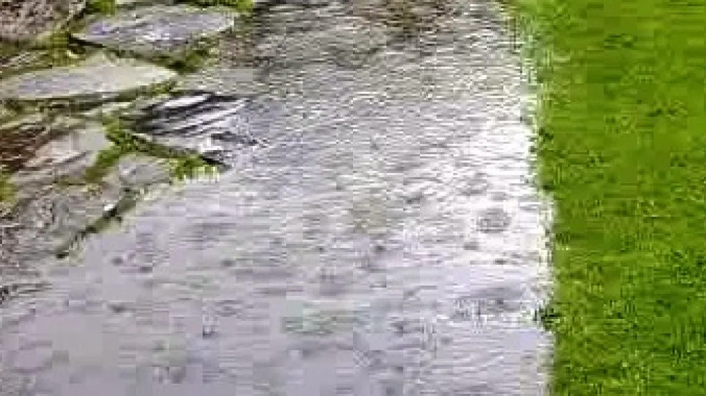 Silný déšť