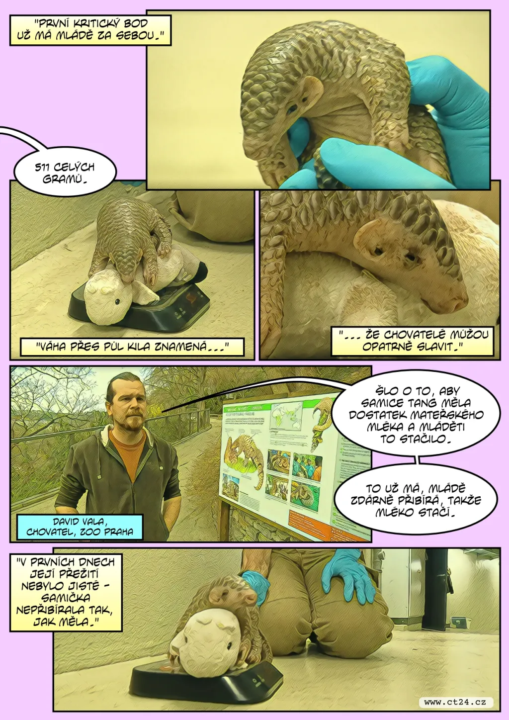 Pražská zoo pokřtila první mládě luskouna v Evropě, samička se jmenuje Šiška