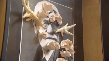 Fotografie z výstavy