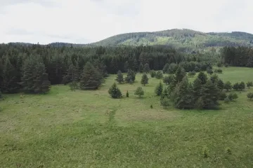 Následkem změny klimatu mohou rašeliniště uvolňovat do atmosféry uhlík, varuje studie