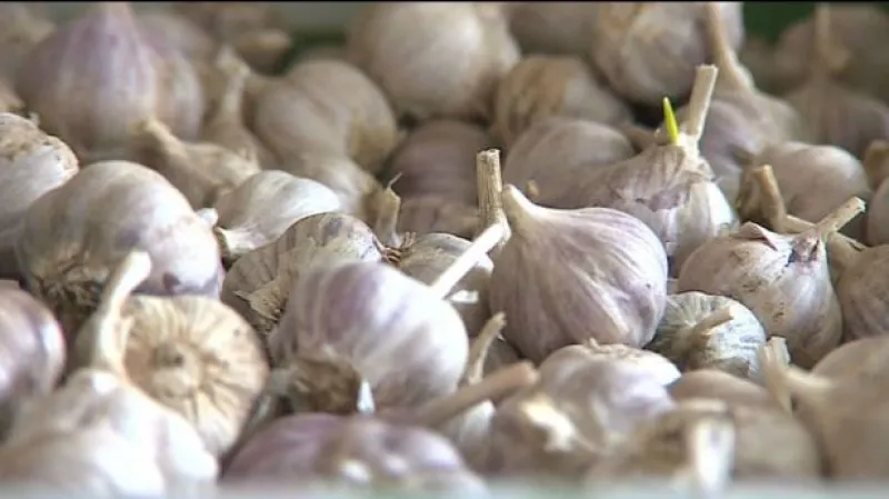 Komentář Karla Růžičky z KPMG