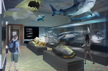 80 tisíc předmětů na 12 tisících metrech čtverečních. Národní muzeum představuje nové expozice