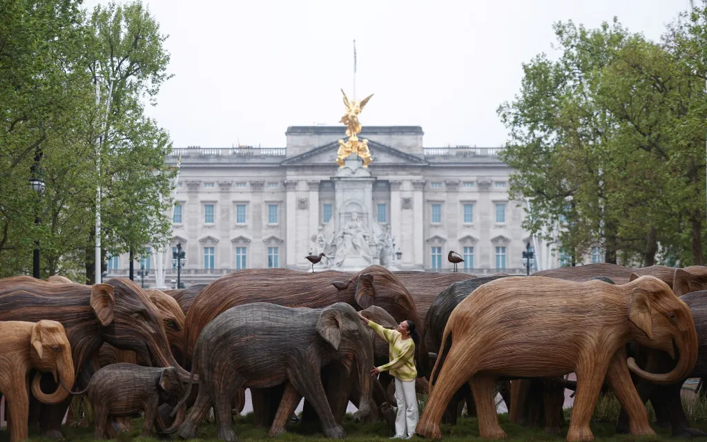 Dřevění sloni ve skutečné velikosti procházející se po londýnské ulici Mall mají poukázat na činnost mezinárodní nevládní organizace Elephant Family. Ta se dlouhodobě zabývá ochranou slonů před vyhynutím