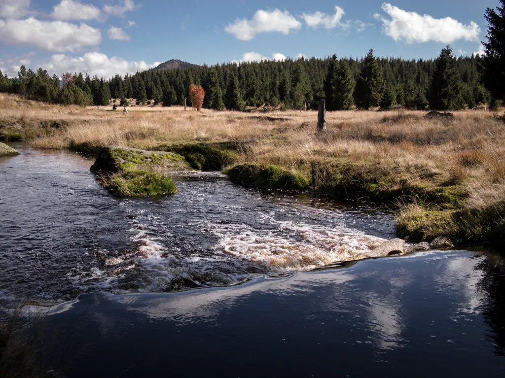 V severovýchodní oblasti to je Přírodní rezervace Bukovec, zahrnující cenné horské suťové lesní porosty a druhově bohaté louky na jeho úpatí (Pralouka, Upolínová louka)