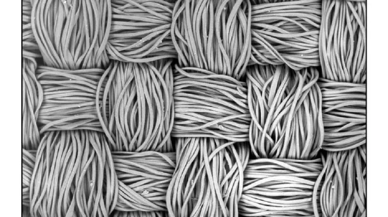 Provázané svazky polyesterových vláken