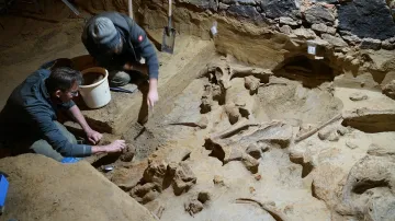 Objev mamutích kostí v Rakousku