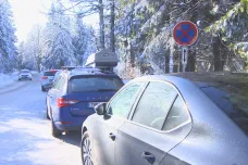 Vlastník lesa na Šerlichu nabídl místo pro parkoviště, dostal pokutu za vykácení stromů