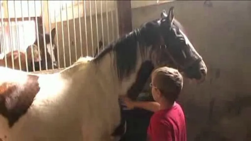 Aktivity Prázdninového klubu při ZŠ Poběžovice