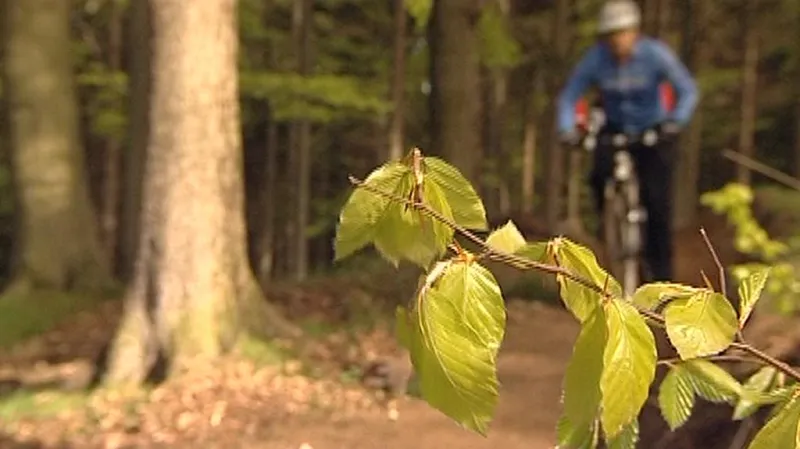 Singltrek pod Smrkem