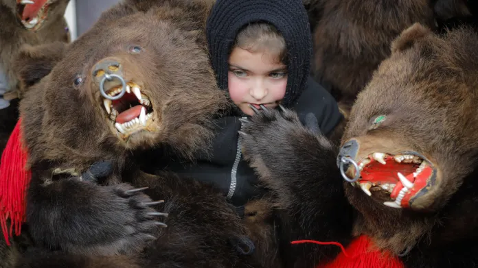 Medvědi jsou součástí rumunské lidové kulturní tradice