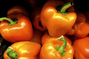 Zastavme plýtvání jídlem, volá konference – a Jurečka přikyvuje