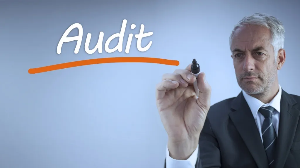 Audit