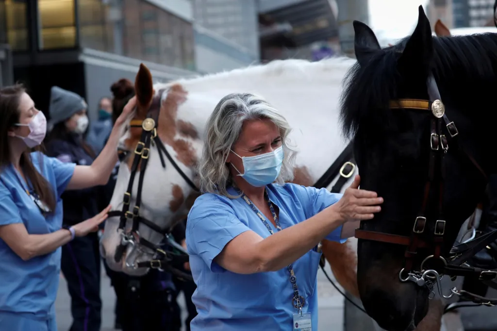 Policie města New York přivedla své koně k nemocnici na Manhattanu. Chtěli tak povzbudit zdravotnické pracovníky, kteří jsou v této chvíli maximálně vytěžováni v boji proti chorobě COVID-19