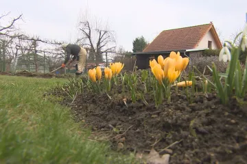 Rekordně teplé počasí přeje vegetaci. Lísky nebo olše rozkvetly s pětitýdenním předstihem