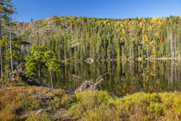Strážci Šumavy vyráží na hlídky i s policií. Někteří turisté jsou totiž agresivní