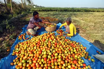 U vzniku Bangladéše stál cyklon, nezávislost na Pákistánu vyhlásila země před 50 lety