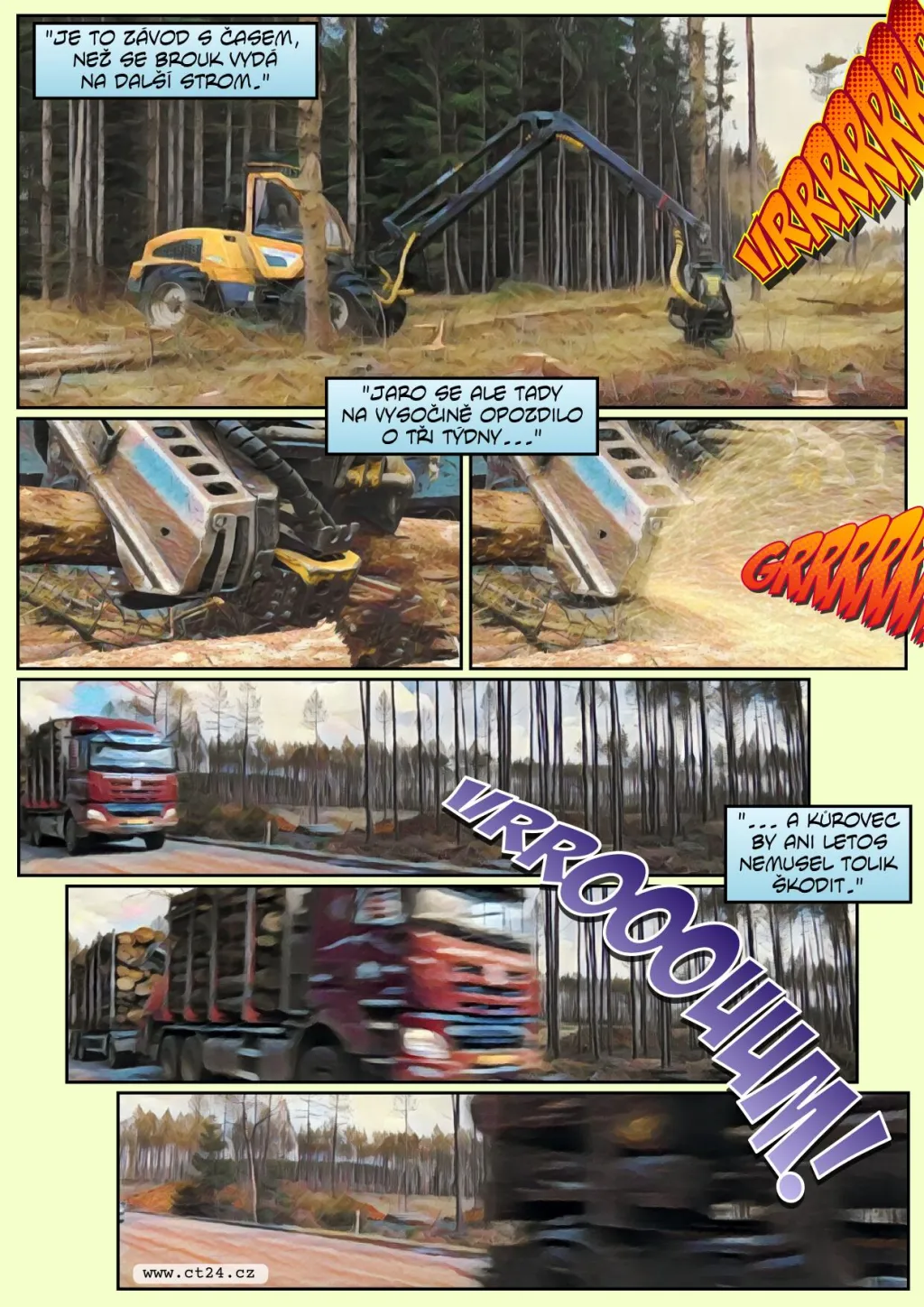 Lesníci loni zasadili 200 milionů stromů