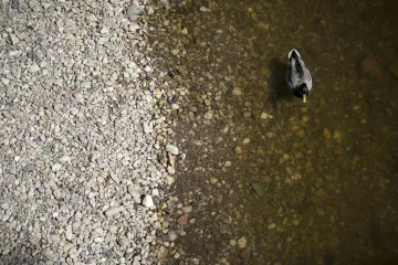 Česko je zase sušší, hlásí Intersucho. Horké dny beze srážek situaci ještě zhorší