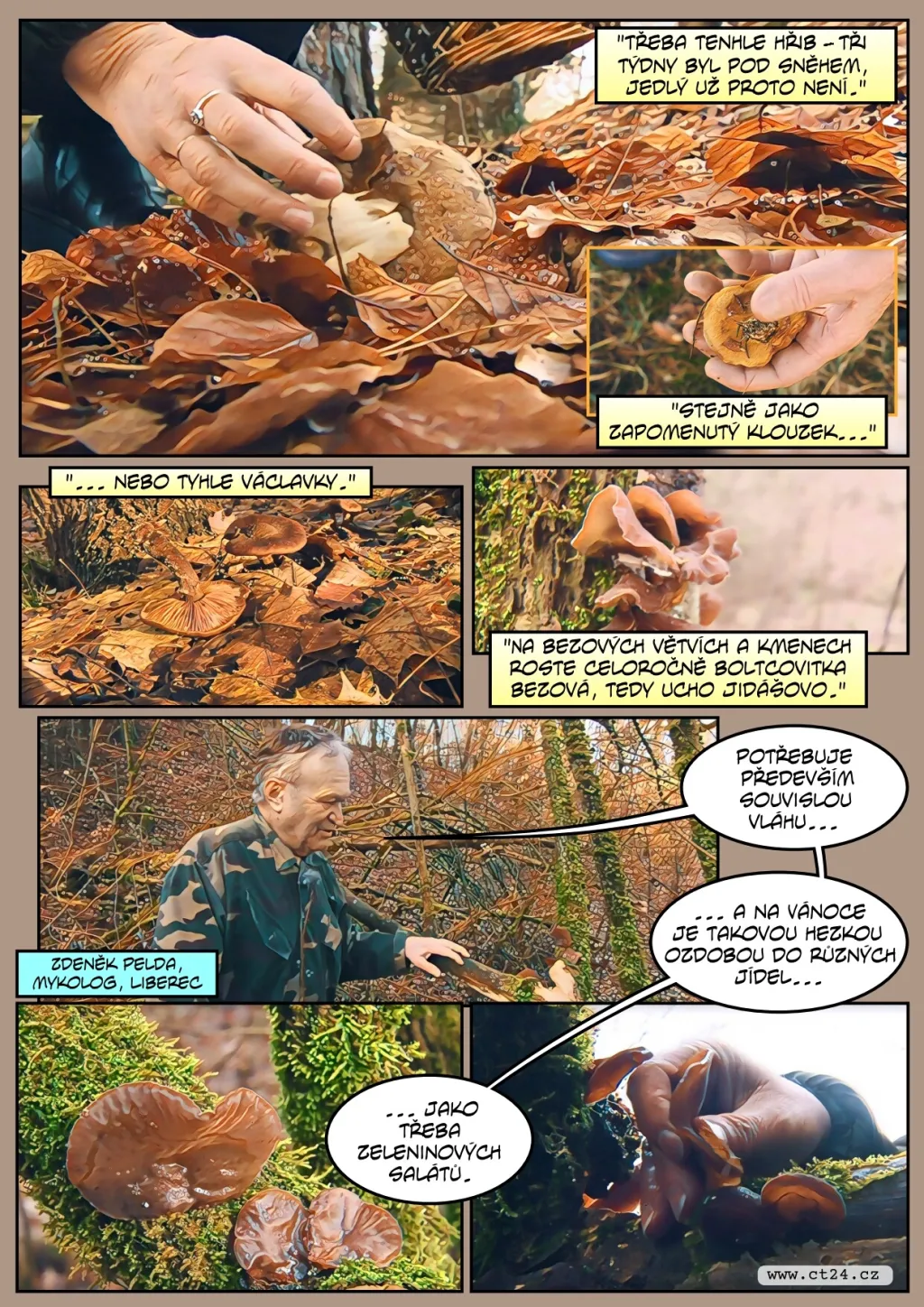 Díky počasí se letos zimním houbám daří