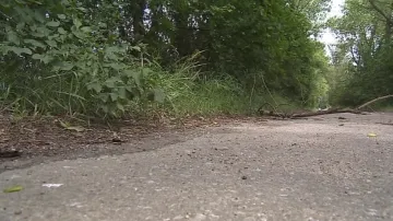 Při cestě na Janův hrad hrozí nebezpečí pádu větví