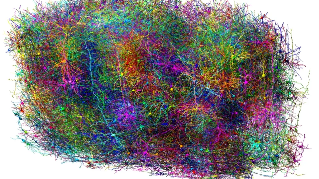 Vizualizace aktivity tisícovky neuronů v myším mozku. Studie jich prozkoumala přes 600 tisíc