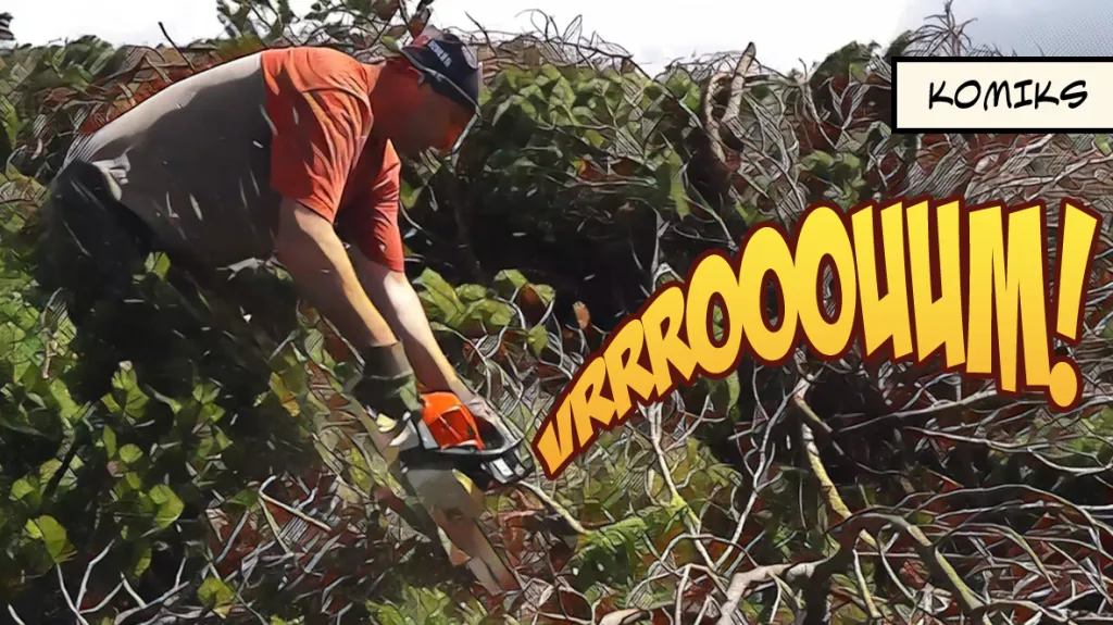 Návrat původních druhů do Jeseníků